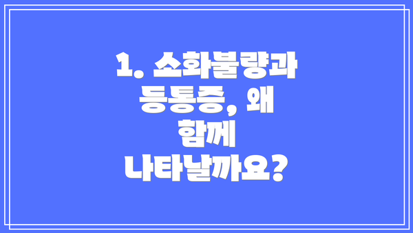 1. 소화불량과 등통증, 왜 함께 나타날까요?