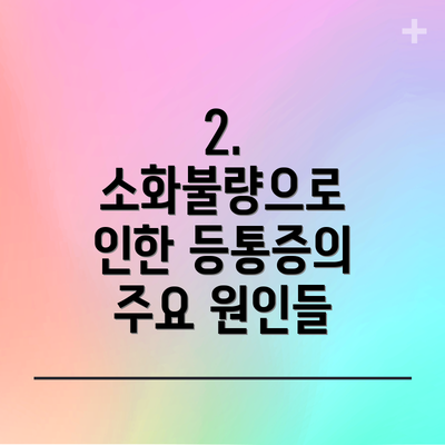2. 소화불량으로 인한 등통증의 주요 원인들