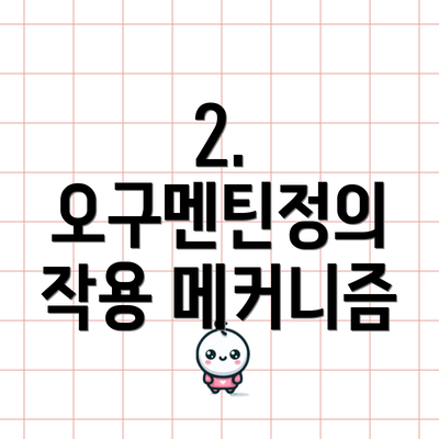 2. 오구멘틴정의 작용 메커니즘