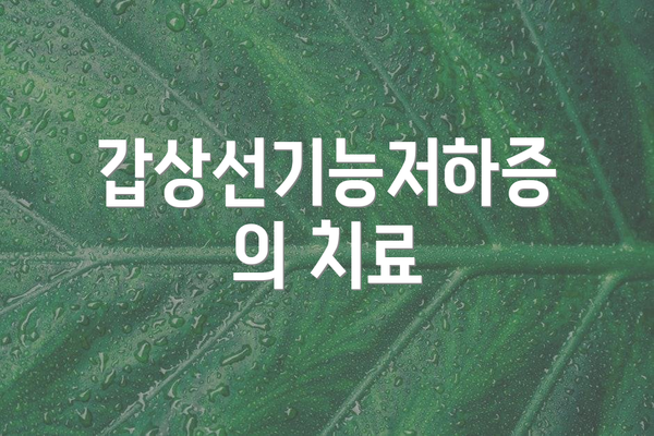 갑상선기능저하증의 치료
