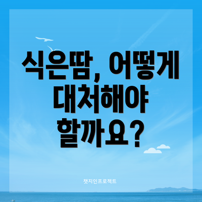 식은땀, 어떻게 대처해야 할까요?