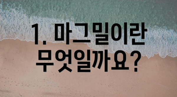 1. 마그밀이란 무엇일까요?