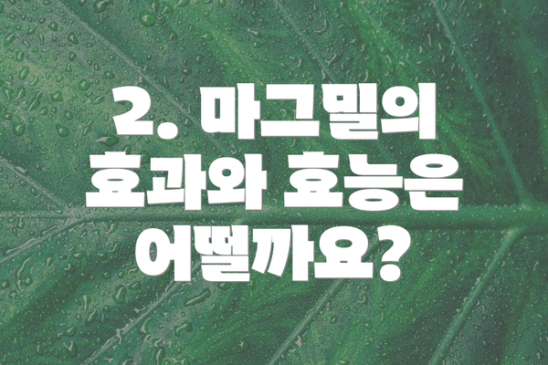 2. 마그밀의 효과와 효능은 어떨까요?
