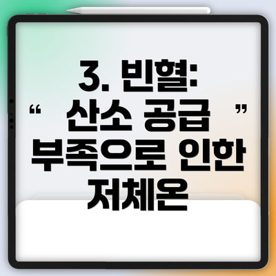 3. 빈혈: 산소 공급 부족으로 인한 저체온