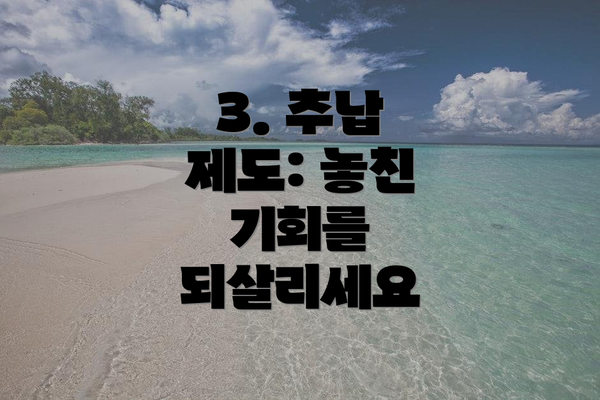 3. 추납 제도: 놓친 기회를 되살리세요