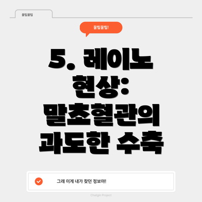 5. 레이노 현상: 말초혈관의 과도한 수축