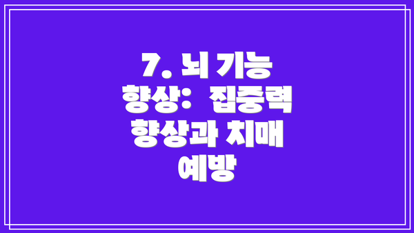 7. 뇌 기능 향상:  집중력 향상과 치매 예방