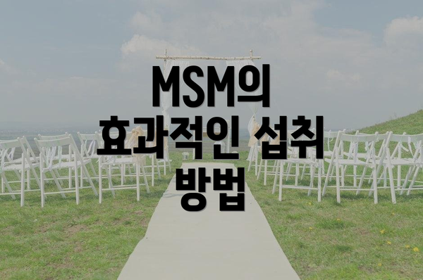 MSM의 효과적인 섭취 방법