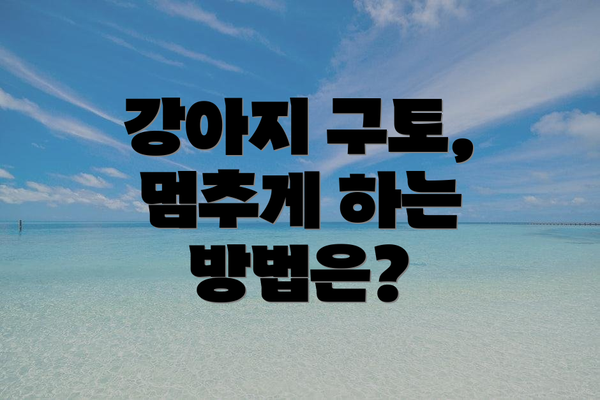 강아지 구토, 멈추게 하는 방법은?