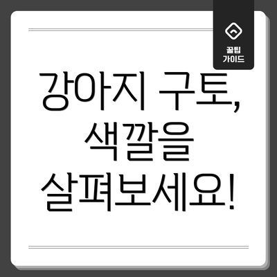 강아지 구토, 색깔을 살펴보세요!