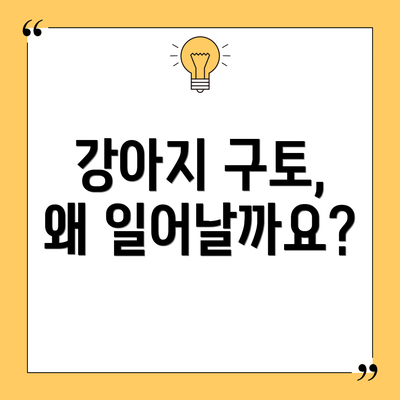 강아지 구토, 왜 일어날까요?