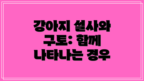 강아지 설사와 구토: 함께 나타나는 경우
