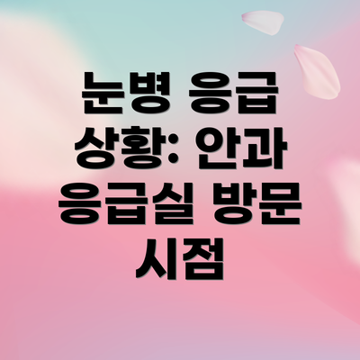 눈병 응급 상황: 안과 응급실 방문 시점
