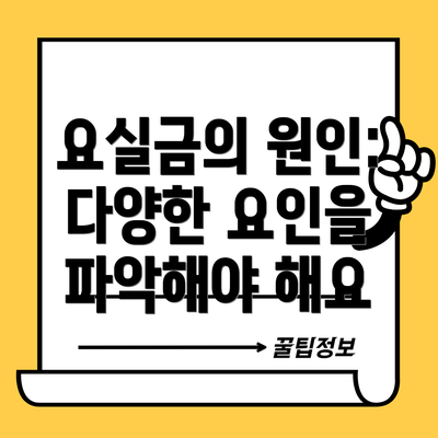 요실금의 원인: 다양한 요인을 파악해야 해요