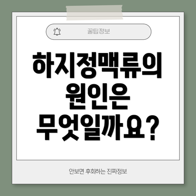 하지정맥류의 원인은 무엇일까요?