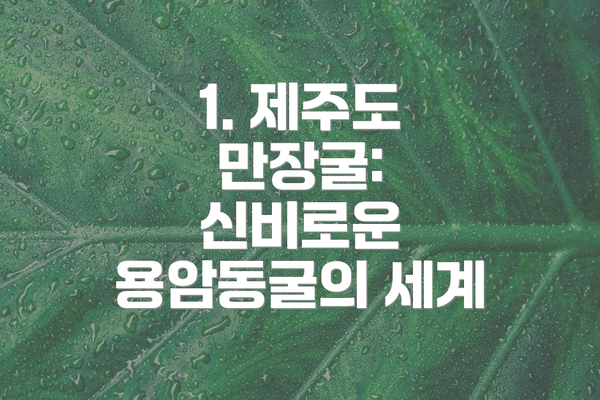 1. 제주도 만장굴: 신비로운 용암동굴의 세계