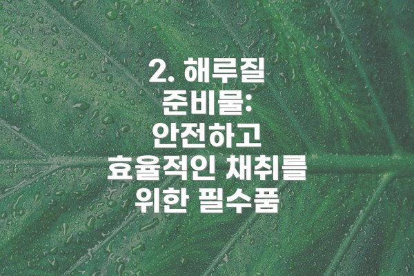2. 해루질 준비물: 안전하고 효율적인 채취를 위한 필수품