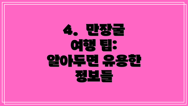 4.  만장굴 여행 팁: 알아두면 유용한 정보들