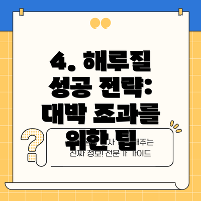 4. 해루질 성공 전략:  대박 조과를 위한 팁
