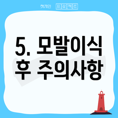 5. 모발이식 후 주의사항