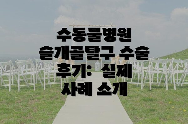 수동물병원 슬개골탈구 수술 후기:  실제 사례 소개