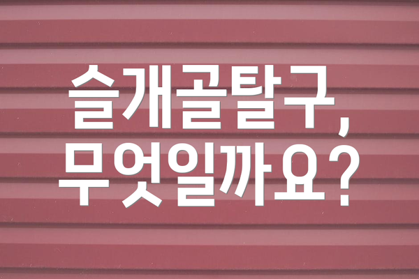 슬개골탈구, 무엇일까요?