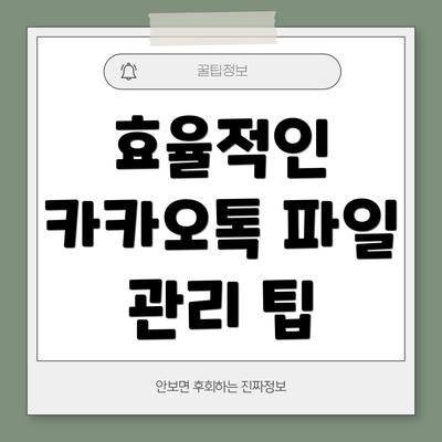 효율적인 카카오톡 파일 관리 팁