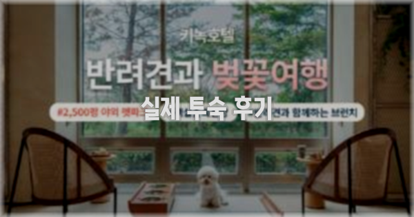 💬 실제 투숙 후기