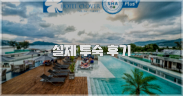 💬 실제 투숙 후기