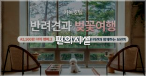 🛎️ 편의시설