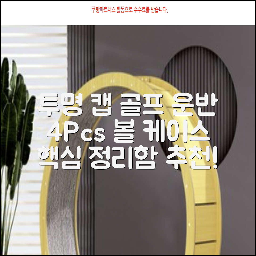 캡 골프 운반 케이스 투명 플라스틱 튜브 휴대용 볼 케이스 골프 정리함이 있는 4Pcs 골프 배럴 투명 튜브, 4개 추천 리뷰